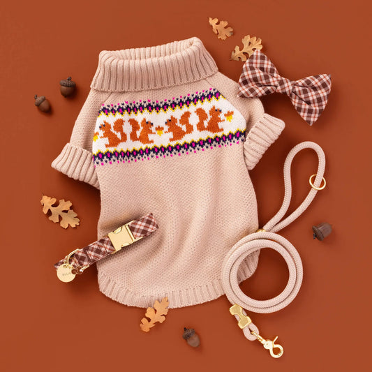 Cable Knit Squirrel Sweater for Dogs
