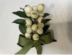 Berry Seed Napkin Rings