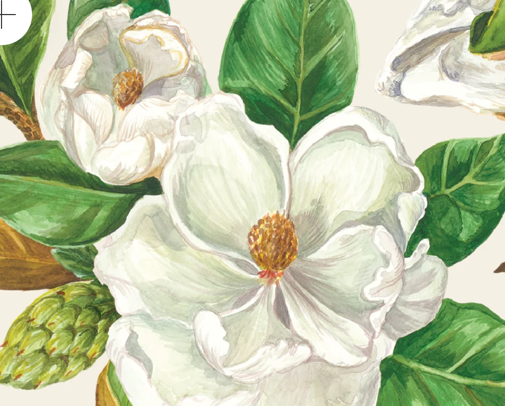 Magnolia Guest Napkin - Pack of 16