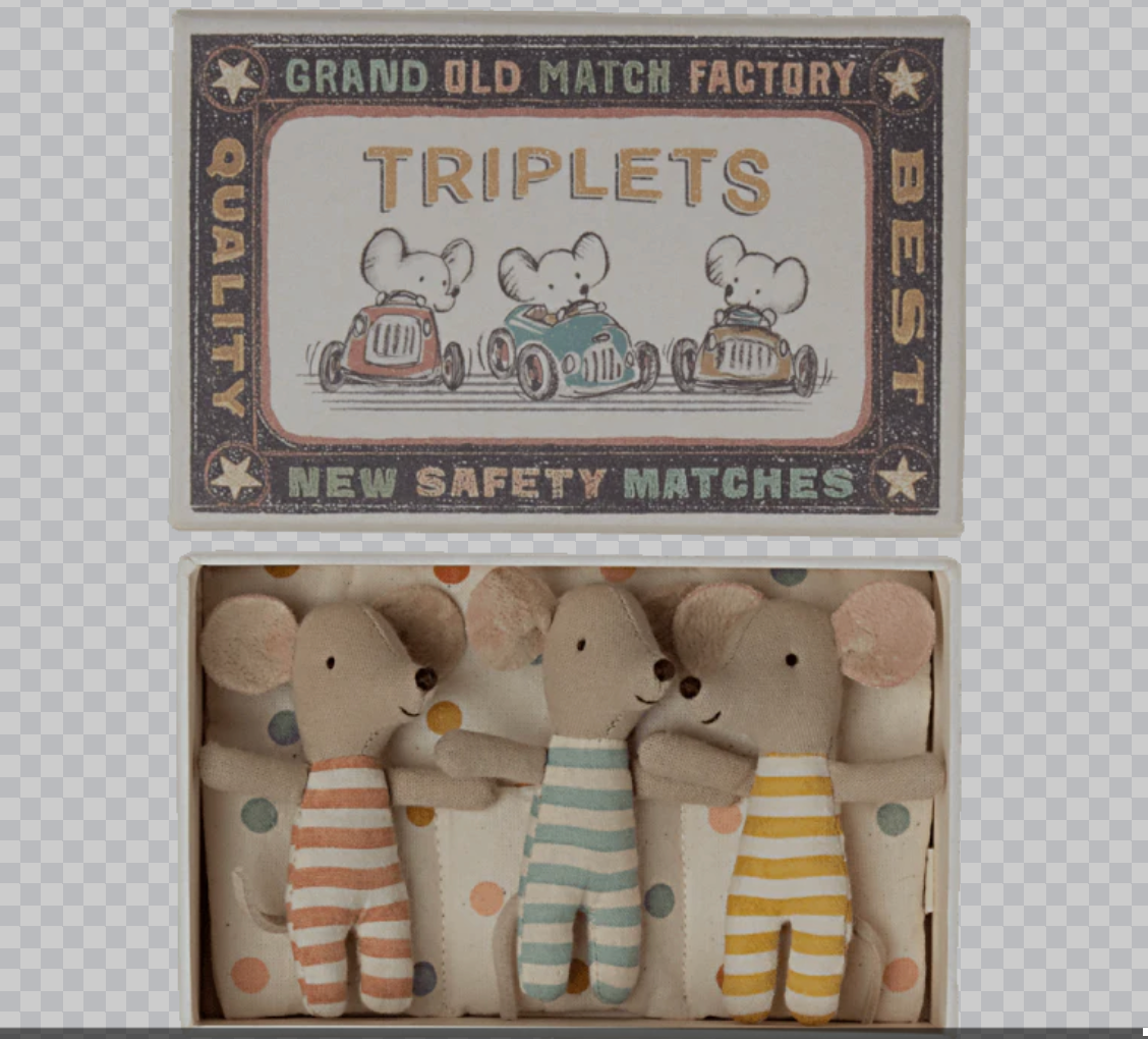 Baby Mice Triplets in Matchbox