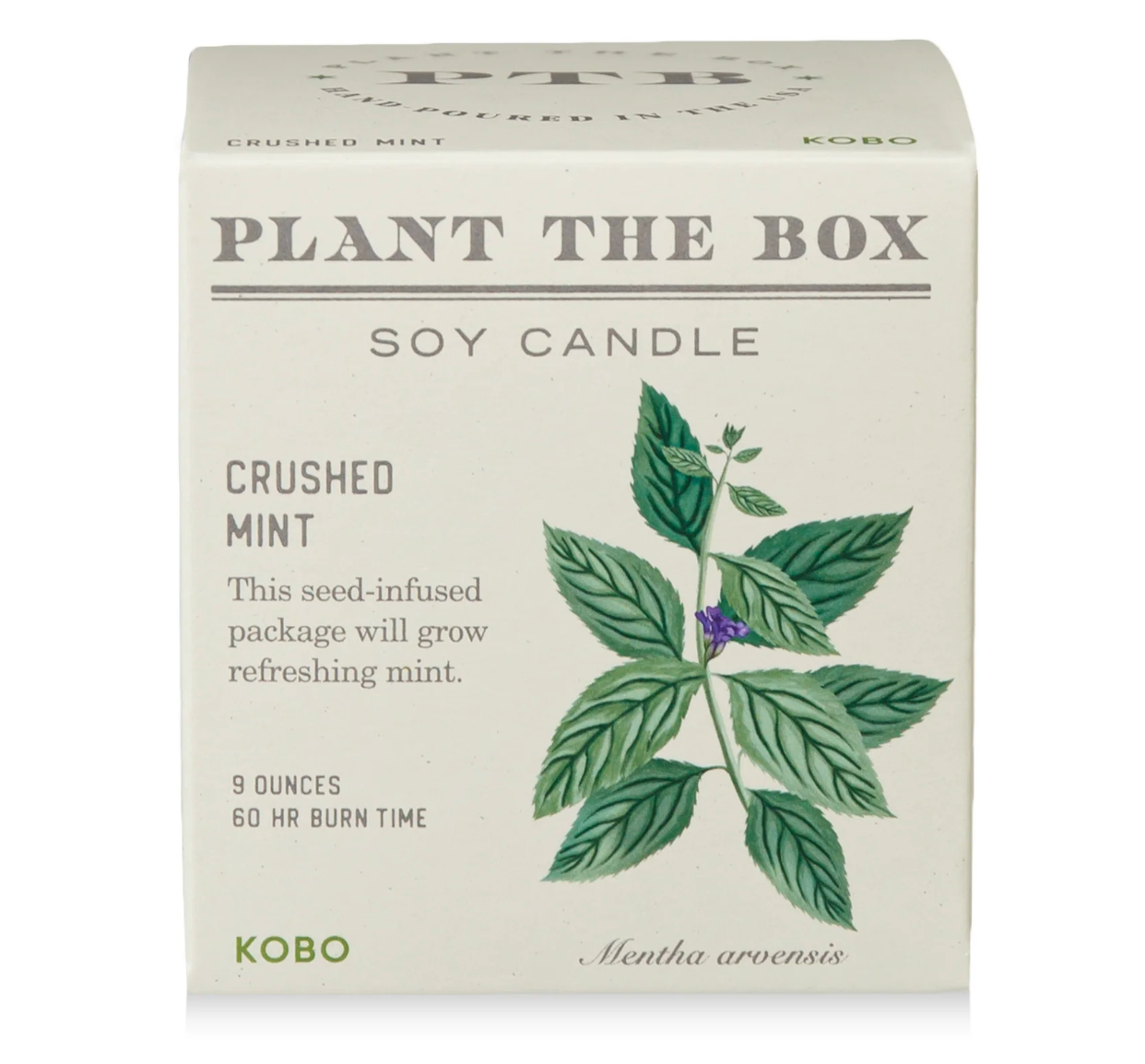 Crushed Mint Plant the Box Candle
