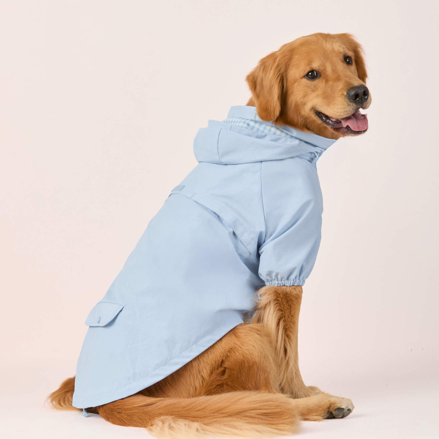 Sky Blue Dog Raincoat
