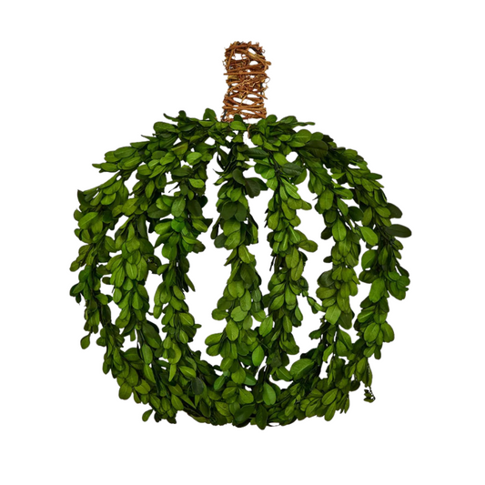 Preserved Natural Boxwood Leaves Pumpkin Decor