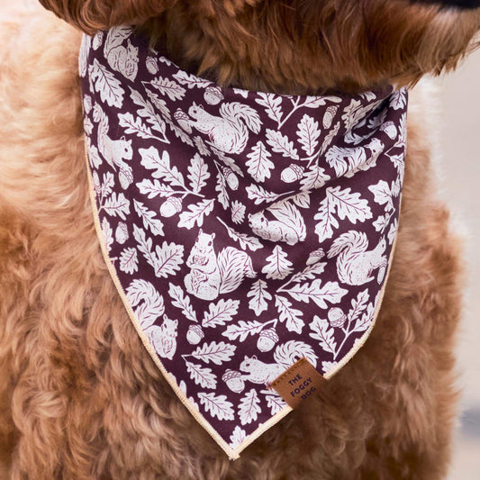 A close-up of a brown dog wearing a triangular bandana with a white squirrel and oak leaf pattern on a dark plum background, with a small tan brand tag reading 'The Foggy Dog’