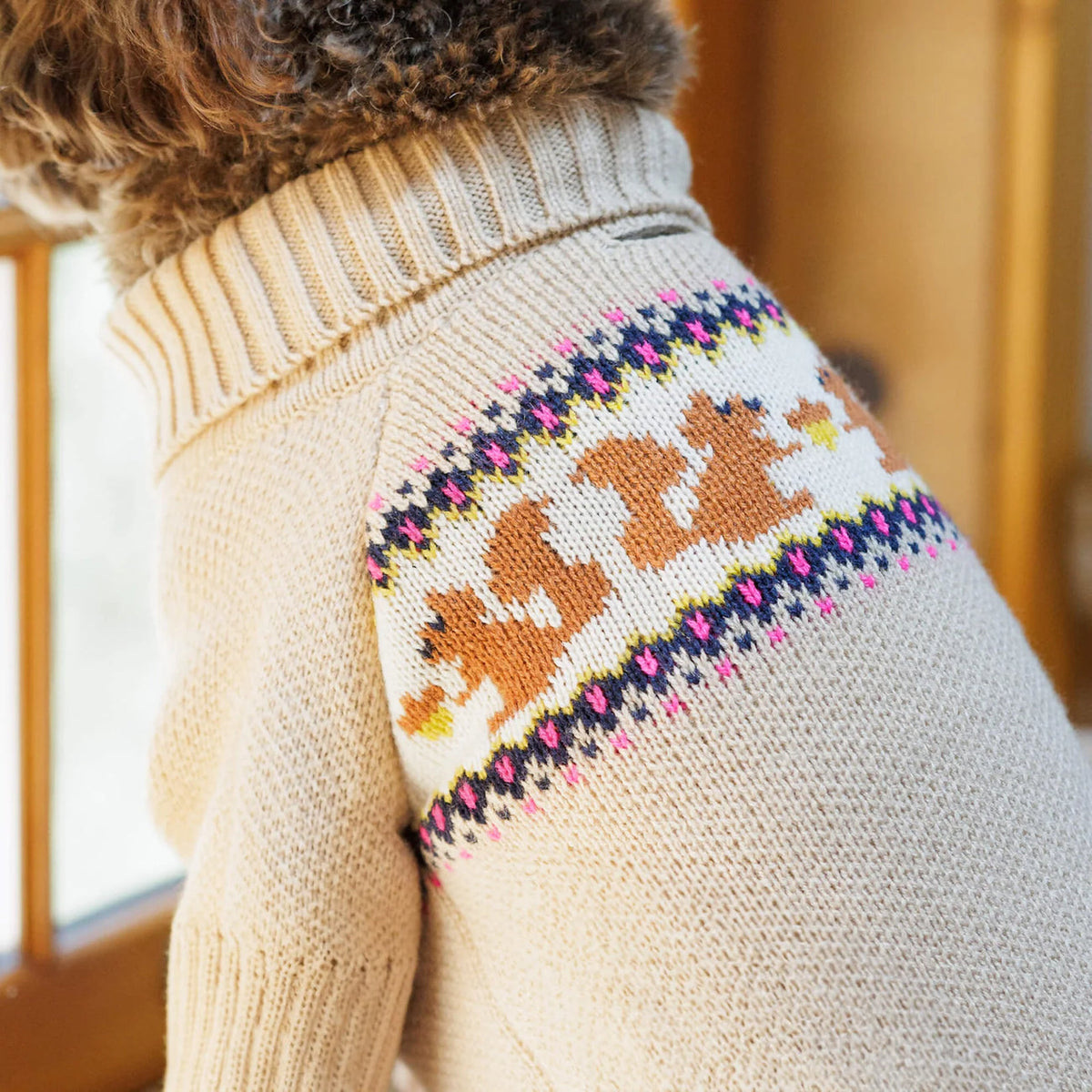 Cable Knit Squirrel Sweater for Dogs