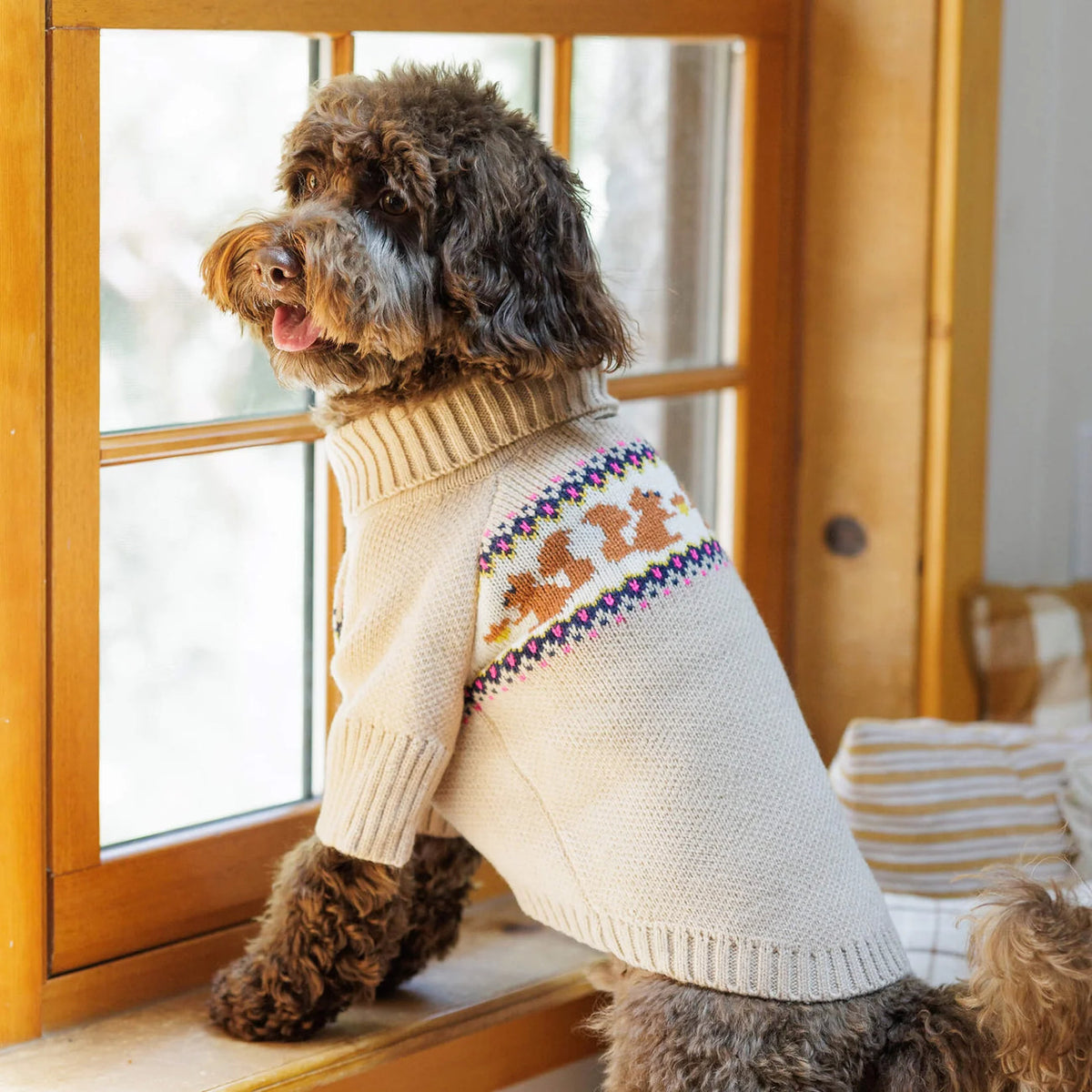 Cable Knit Squirrel Sweater for Dogs