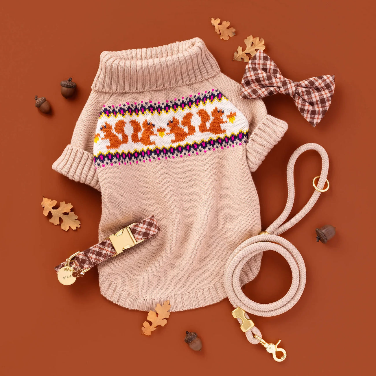 Cable Knit Squirrel Sweater for Dogs