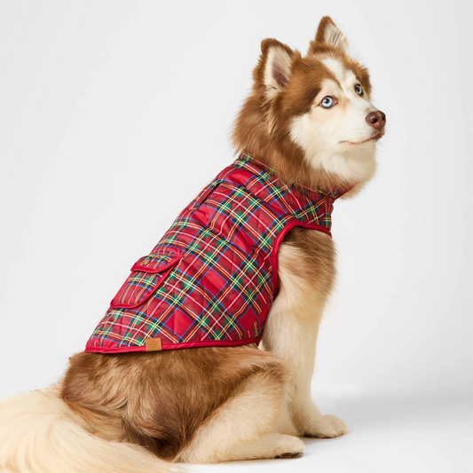 A fluffy brown and white dog wearing a red plaid quilted vest, sitting against a clean white studio background.