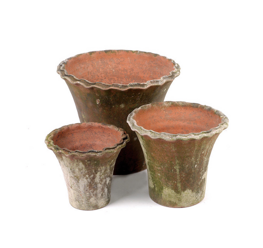 Aged Piecrust