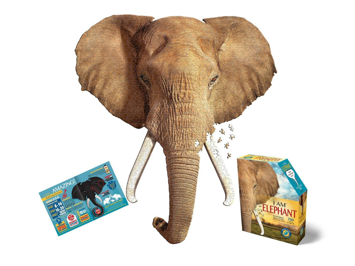 I AM Elephant