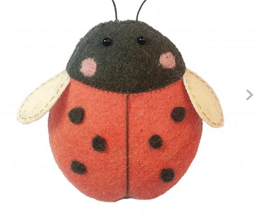 LadyBird