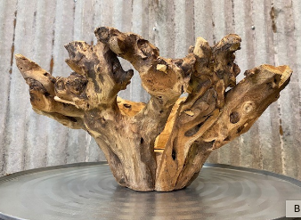 Large Branchy Bowls