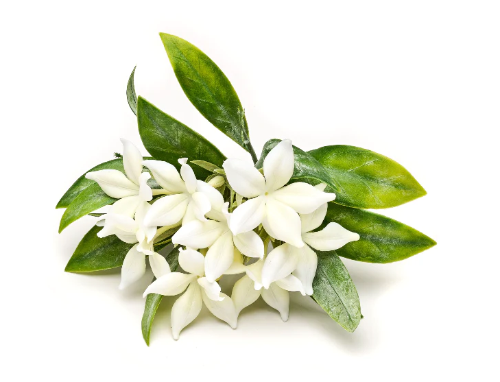 Jasmine Bush Napkin Ring