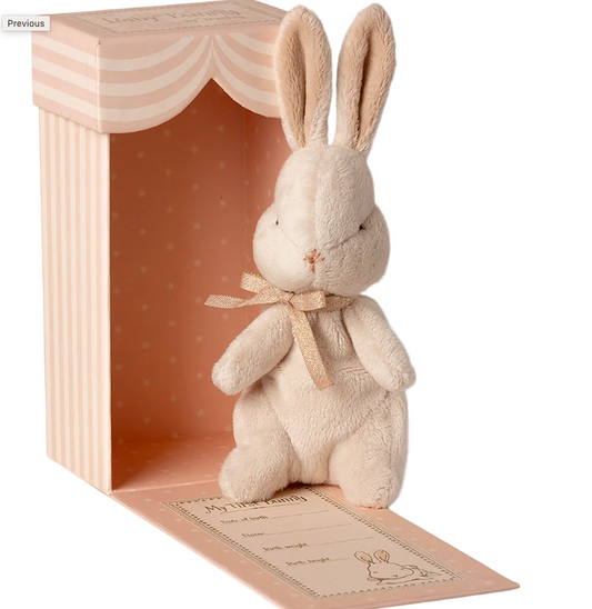 My First Bunny In Box