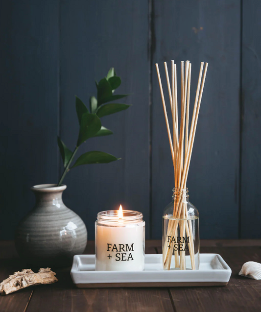 Beach Bonfire Spring & Summer Reed Diffuser