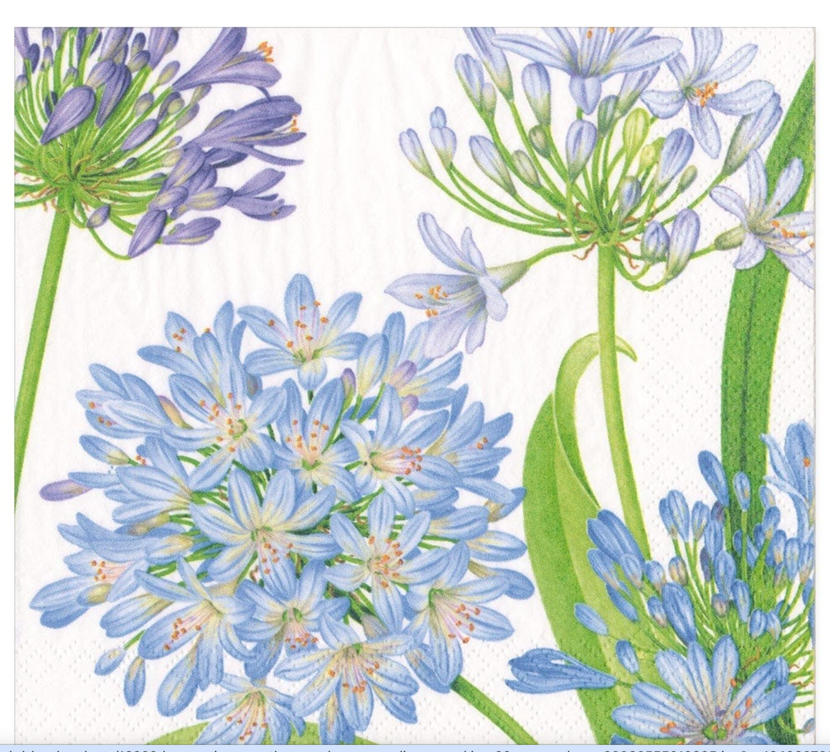 Agapanthus Garden Paper Luncheon Napkins - 20 Per Package