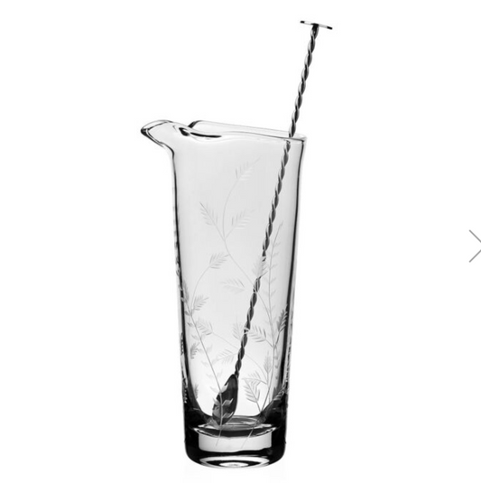 Tall Cocktail Mixer & Spoon Daisy B