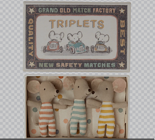 Baby Mice Triplets in Matchbox