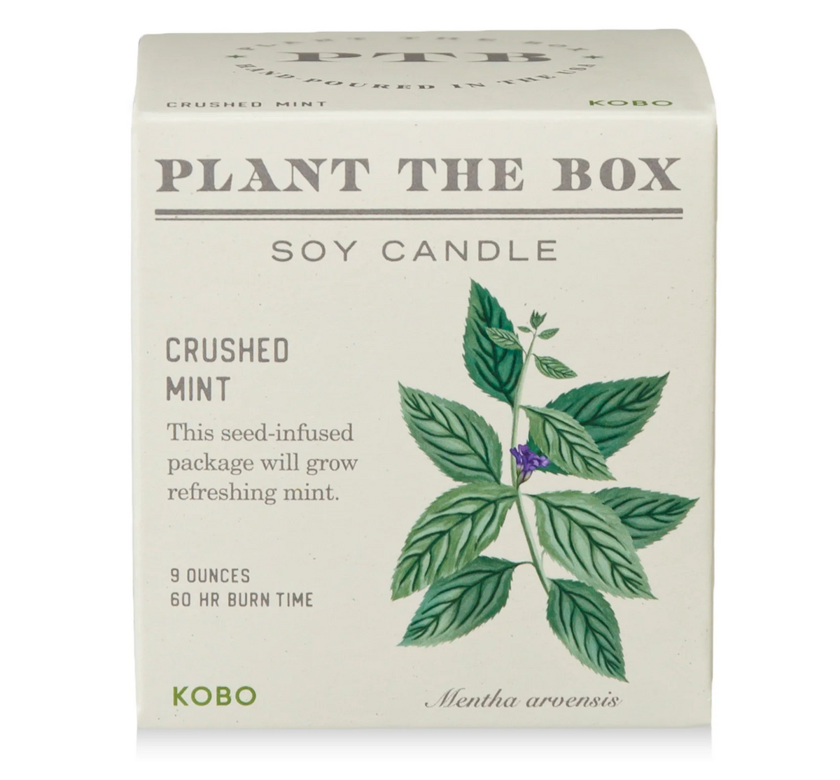 Crushed Mint Plant the Box Candle