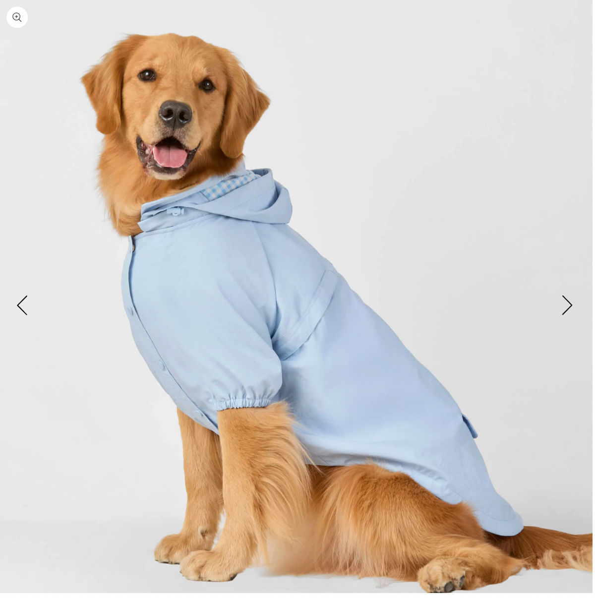 Sky Blue Dog Raincoat