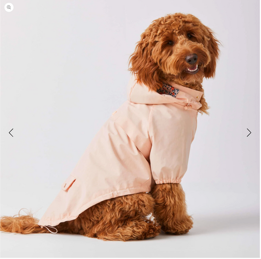 Petal Pink Dog Raincoat